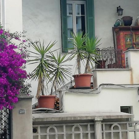 Villa Cecile Ajaccio  Eksteriør bilde