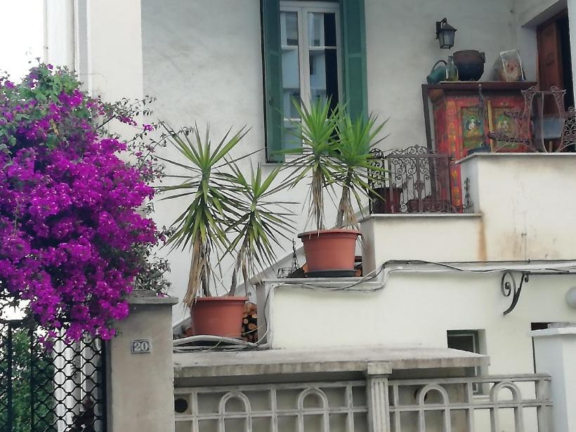 Villa Cecile Ajaccio  Eksteriør bilde